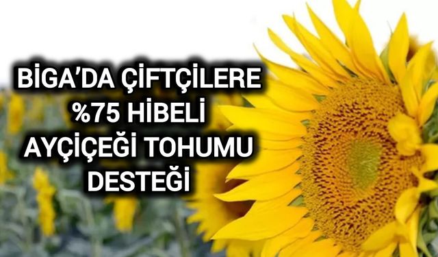 Biga’da çiftçilere %75 hibeli ayçiçeği tohumu desteği