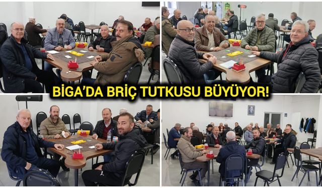 Çanakkale Biga’da briç tutkusu büyüyor!