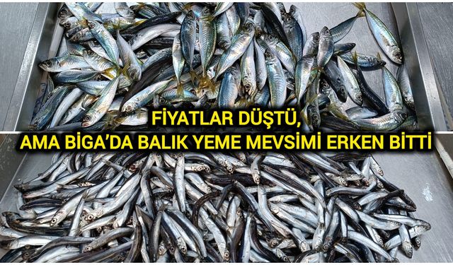 Fiyatlar düştü, ama Biga’da balık yeme mevsimi erken bitti