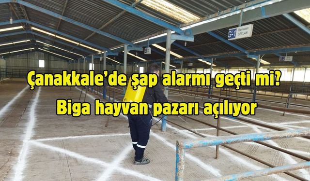 Çanakkale’de şap alarmı geçti mi? Biga hayvan pazarı açılıyor