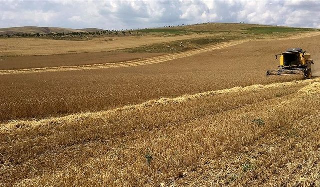Tarımda AR-GE’ye Yeni Destek Çağrısı Mayısta Yapılacak