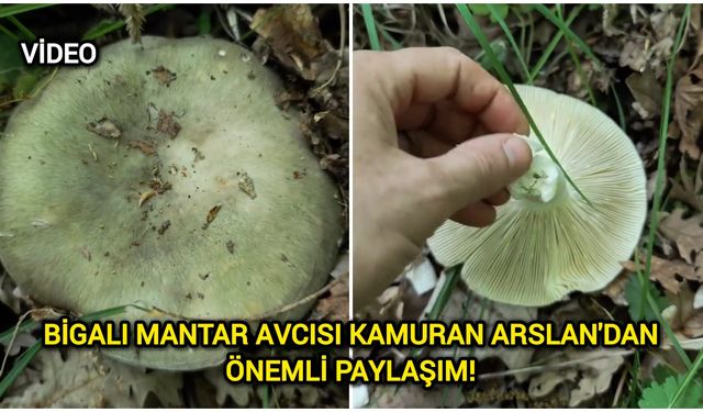 Bigalı Mantar Avcısı Kamuran Arslan'dan Önemli Paylaşım!
