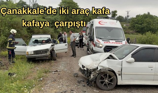 Çanakkale'de iki araç kafa kafaya çarpıştı