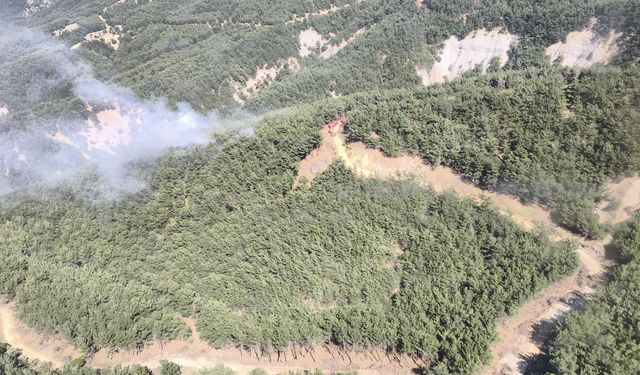 Çanakkale'de çıkan orman yangını söndürüldü