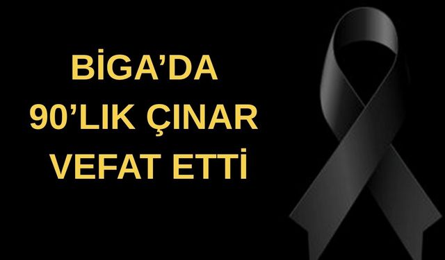 Biga’da 90’lık çınar vefat etti