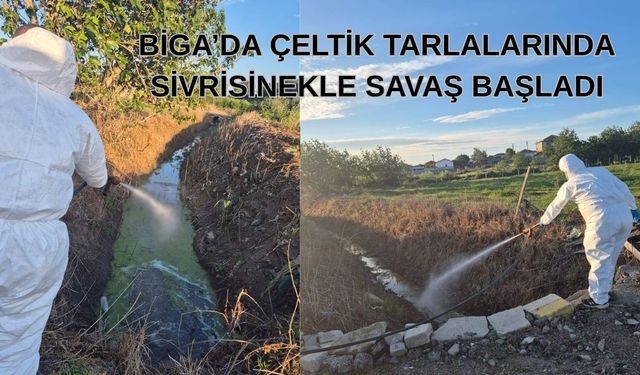 Biga’da çeltik tarlalarında sivrisinekle savaş başladı