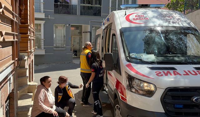 Sahipsiz köpek bir kadını ısırdı