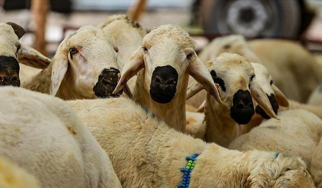 Kurban Hizmetlerinin Uygulanmasına Dair Tebliğ, Resmi Gazete'de