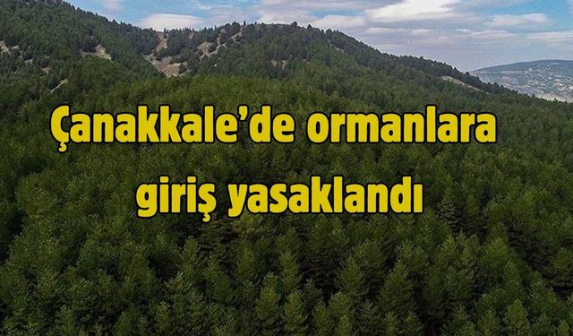 Çanakkale’de ormanlara giriş yasaklandı