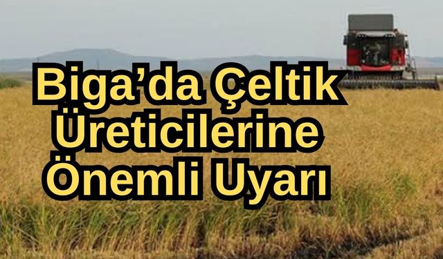 Biga’da çeltik üreticilerine önemli uyarı