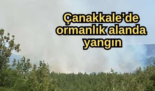 Çanakkale’de ormanlık alanda yangın