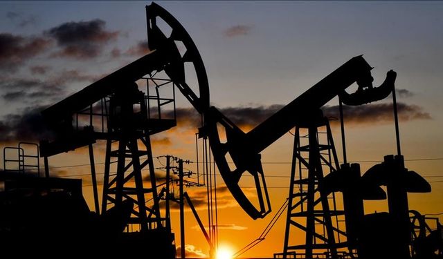 20 Yıllık Petrol Ruhsatı ve Kamulaştırma Kararı