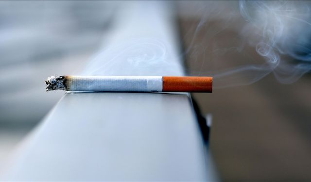 Türkiye, Tütünle Mücadelede Öncü Ülkeler Arasında