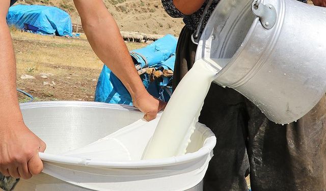 Çanakkale Üreticilerine 75 Milyon TL’lik Çiğ Süt Desteği