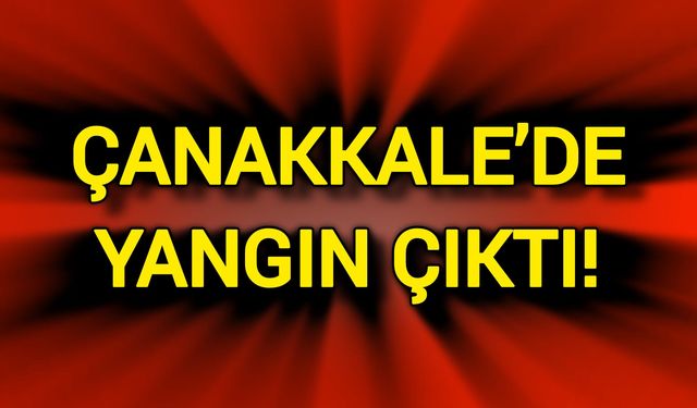 Son Dakika: Çanakkale’de Yangın Çıktı!