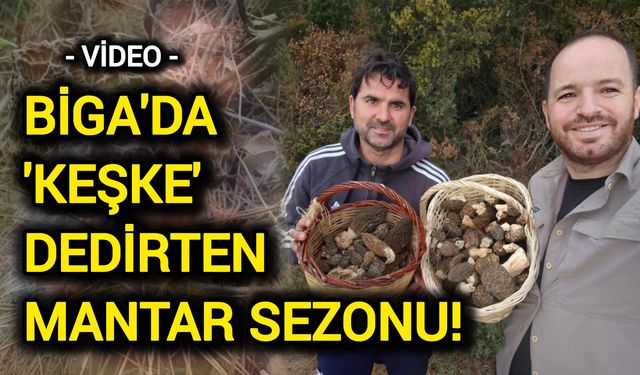 Biga'da 'Keşke' Dedirten Mantar Sezonu!