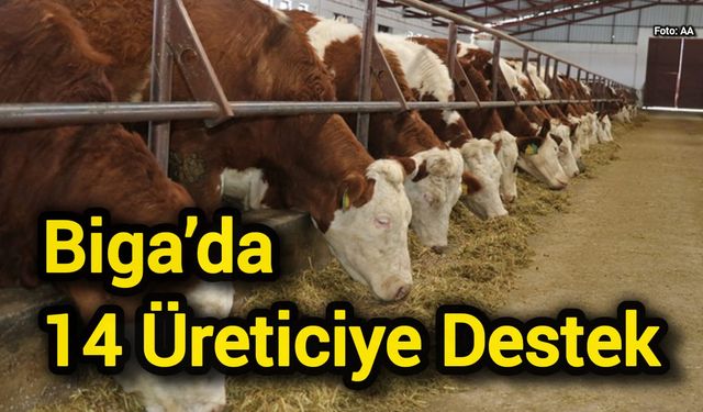 Biga'da “Kırsalda Bereket” Başlıyor: Genç Çiftçilere Devlet Desteği