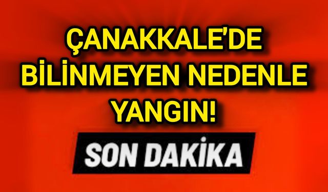 Çanakkale'de bilinmeyen nedenle yangın!