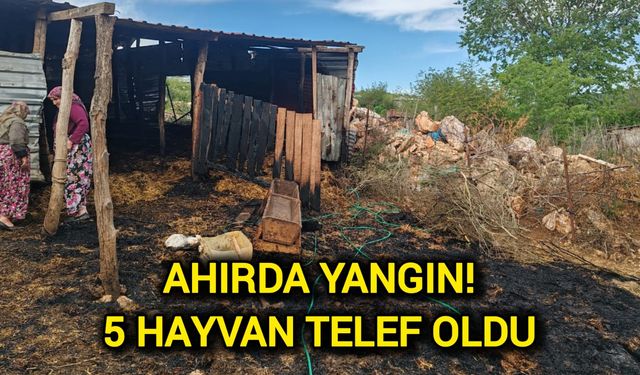 Ahırda Yangın: 5 Hayvan Telef Oldu!