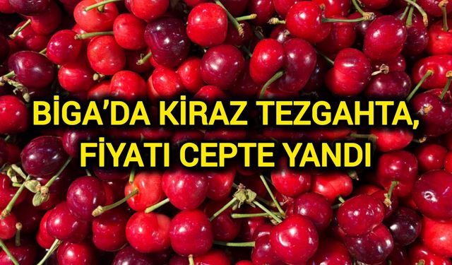 Biga’da Kiraz Tezgahta, Fiyatı Cepte Yandı