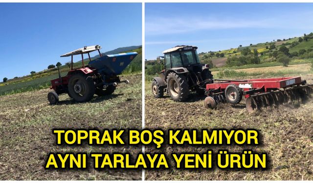 Toprak Boş Kalmıyor: Aynı Tarlaya Yeni Ürün