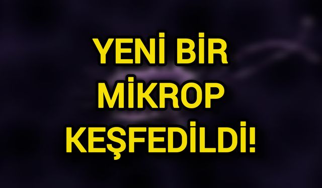 Yeni bir mikrop keşfedildi!