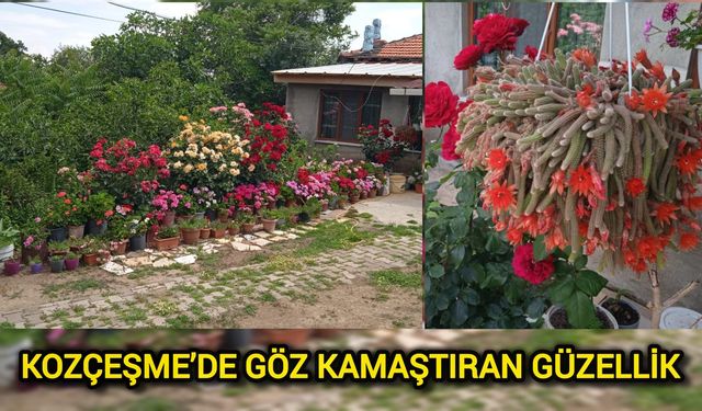 Kozçeşme’de Göz Kamaştıran Güzellik