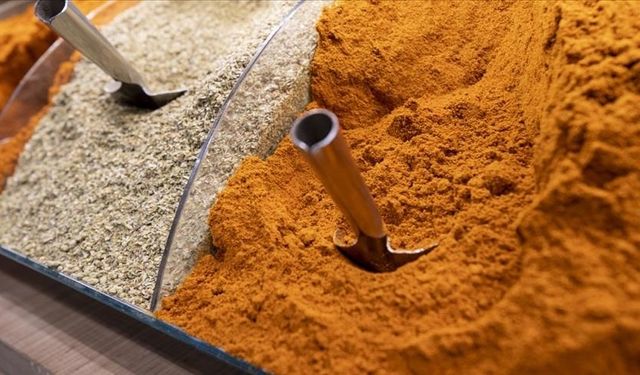 Türk baharatı 156 ülkede yemekleri tatlandırıyor