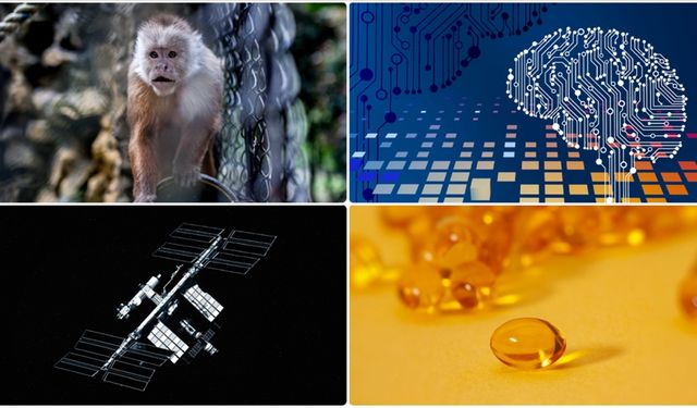 Yeni mikrop türünden fotoğraftan yaş analizine mayısın bilimsel gelişmeleri