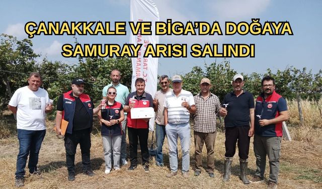 Çanakkale ve Biga’da doğaya samuray arısı salındı