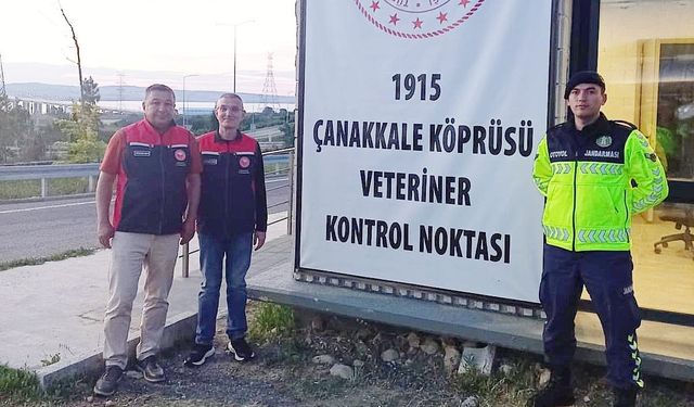 Çanakkale'de Kurban Bayramı Öncesi Şap Denetimleri Sıkılaştı