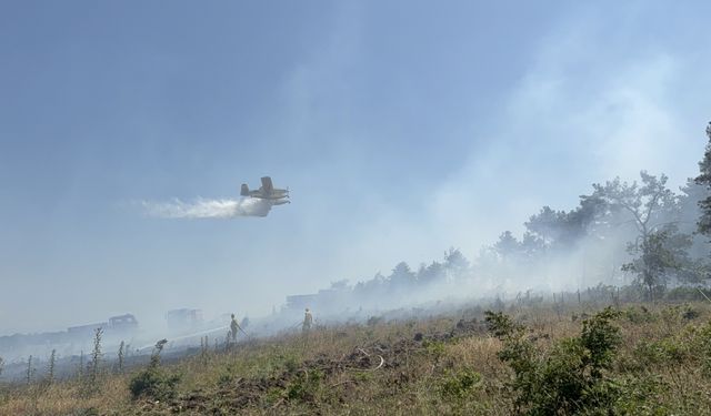 Çanakkale'de çıkan orman yangınından son gelişme