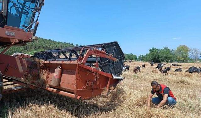 Gelibolu Tarım ve Orman Müdürlüğü biçerdöver denetimlerini sıklaştırdı