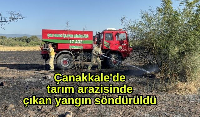 Çanakkale'de tarım arazisinde çıkan yangın söndürüldü