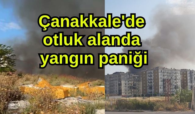 Çanakkale'de otluk alanda yangın paniği