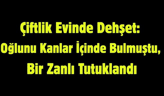 Çiftlik Evindeki Şüpheli Ölümde Bir Zanlı Tutuklandı
