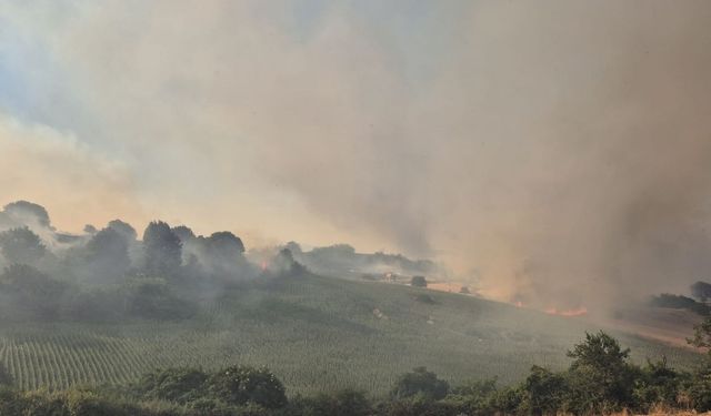 Arazide çıkan yangına müdahale ediliyor