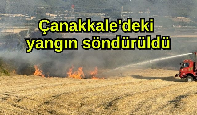 Çanakkale'deki yangın söndürüldü