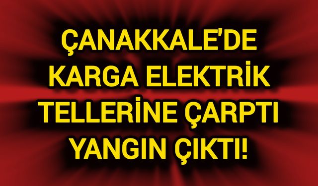 Çanakkale'de karga elektrik tellerine çarptı yangın çıktı!