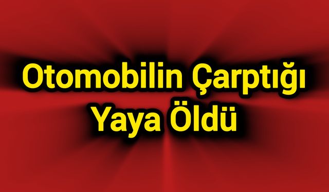 Otomobilin çarptığı yaya öldü