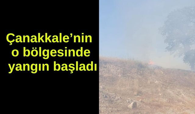 Çanakkale’nin o bölgesinde yangın başladı