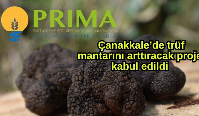 Çanakkale’de trüf mantarını arttıracak proje kabul edildi