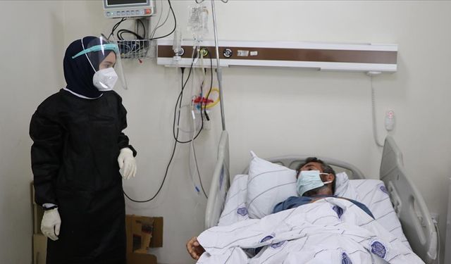 Kene Alarmı: 49 Hasta Tedavi Altında, Uzmanlardan Hayati Uyarılar