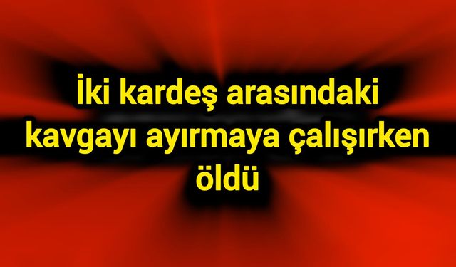 İki kardeş arasındaki kavgayı ayırmaya çalışırken öldü