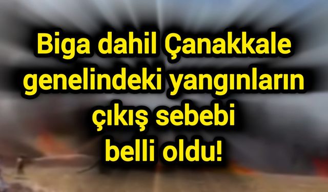Biga dahil Çanakkale genelindeki yangınların çıkış sebebi açıklandı!