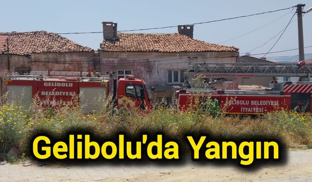 Çanakkale Gelibolu'da yangın
