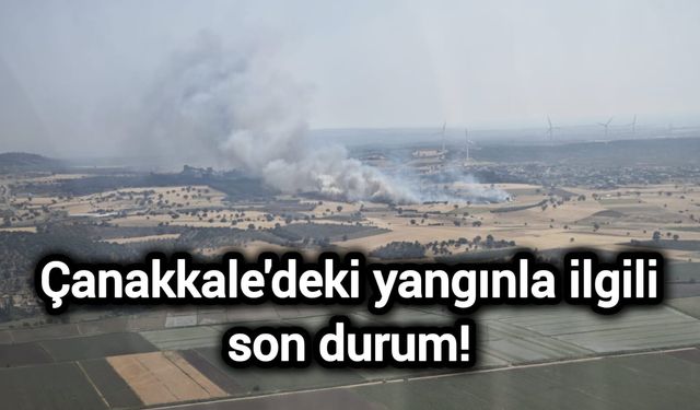 Çanakkale'deki yangınla ilgili son durum!