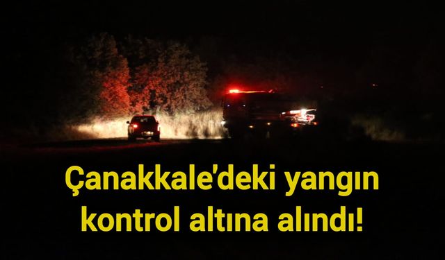 Çanakkale'deki yangın kontrol altına alındı!