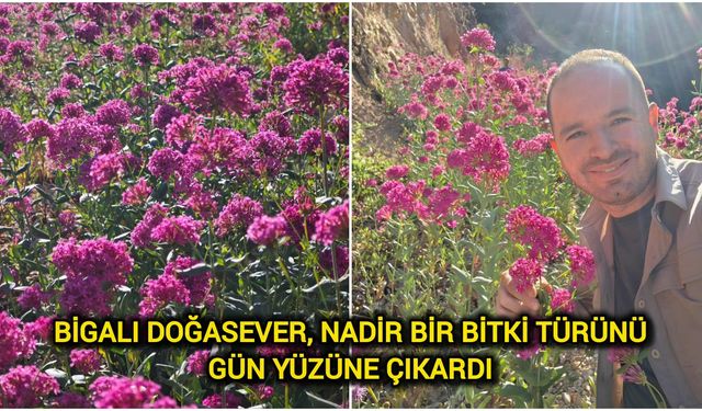 Bigalı Doğasever, Nadir Bir Bitki Türünü Gün Yüzüne Çıkardı