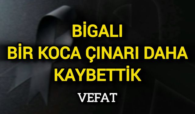Bigalı Bir Koca Çınarı Daha Kaybettik